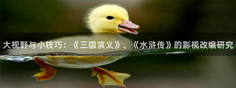 金桔视频下载：大视野与小技巧：《三国演义》、《水浒传》的影视改编研究