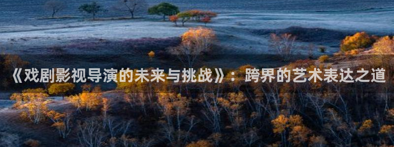 金桔影视app：《戏剧影视导演的未来与挑战》：跨界的艺术表达之道