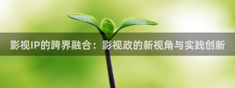 下载金桔视频：影视IP的跨界融合：影视政的新视角与实践创新