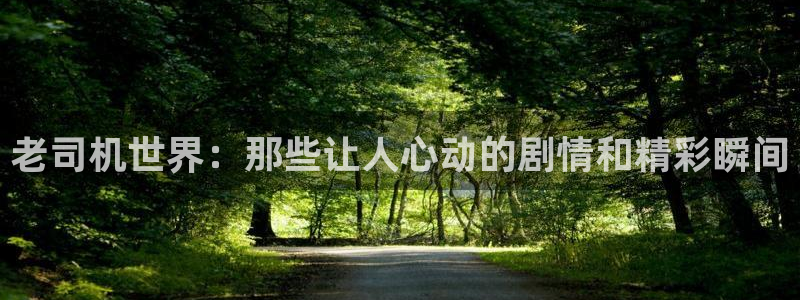 金桔视频：老司机世界：那些让人心动的剧情和精彩瞬间