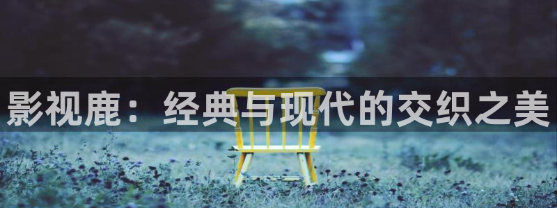 冰糖金桔的做法视频