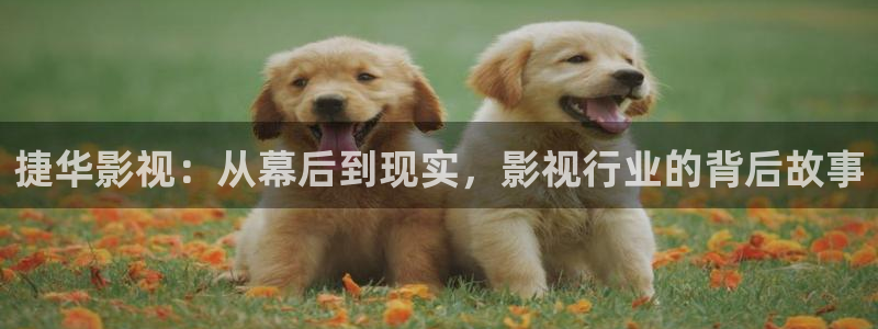 金桔视频app：捷华影视：从幕后到现实，影视行业的背后故事