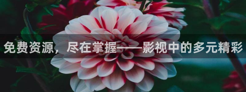 金桔视频免费下载：免费资源，尽在掌握——影视中的多元精彩