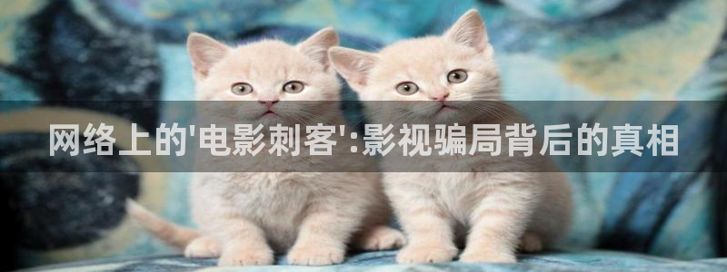 金桔影视在线观看：网络上的\'电影刺客\':影视骗局背后的真相