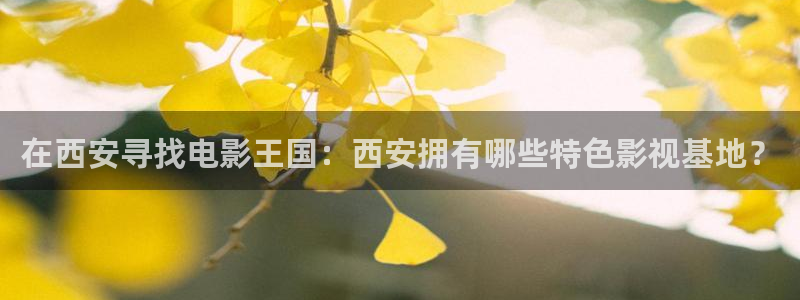 金桔视频下载：在西安寻找电影王国：西安拥有哪些特色影视基地？